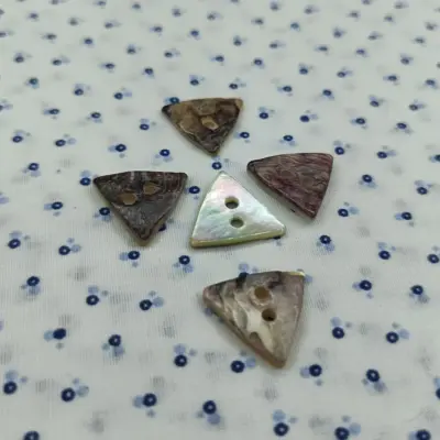 Bottoni Madreperla Agoya Triangolo 2 Fori Set196 02