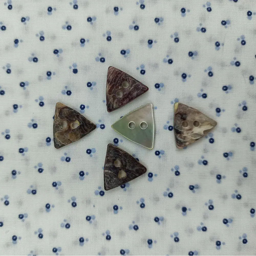 Bottoni Madreperla Agoya Triangolo 2 Fori Set196 04